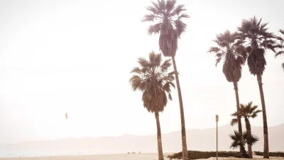 Partai Aceh Gelar Musyawarah Besar Jelang Pemilu 2029