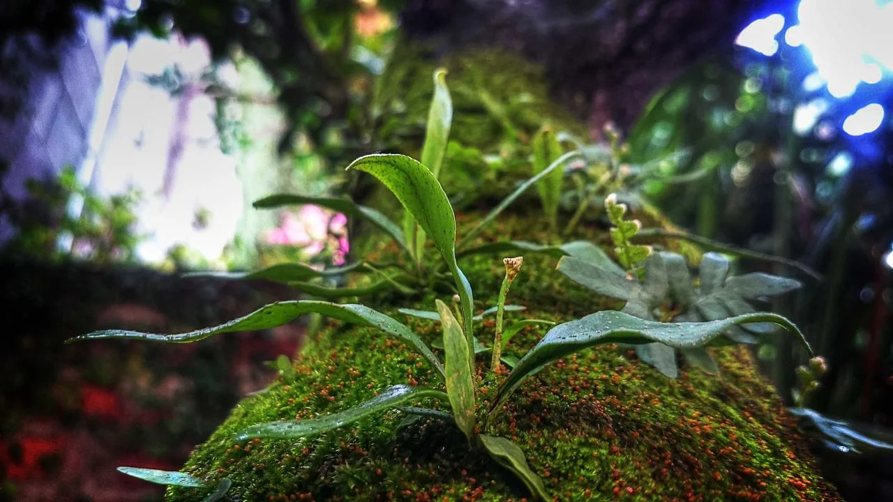 Startup Teknologi Asal Banda Aceh Raih Pendanaan Seri A