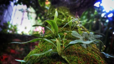 Startup Teknologi Asal Banda Aceh Raih Pendanaan Seri A