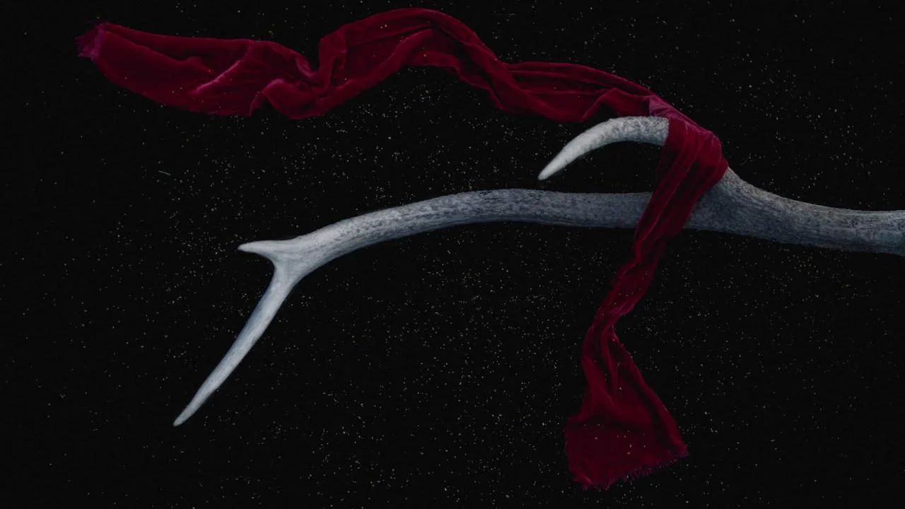 Bank Aceh Syariah Catat Laba Bersih Rp 312 Miliar di Semester I